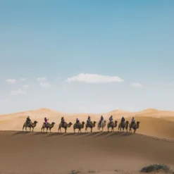 Middle East & North Africa